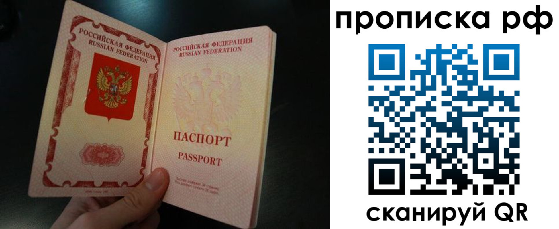 прописка законно в Коле
