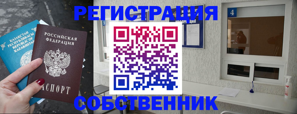 прописка поиск в Коле